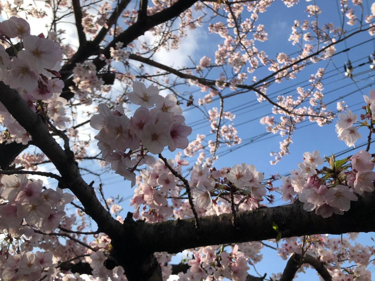 Masaru House 大阪市